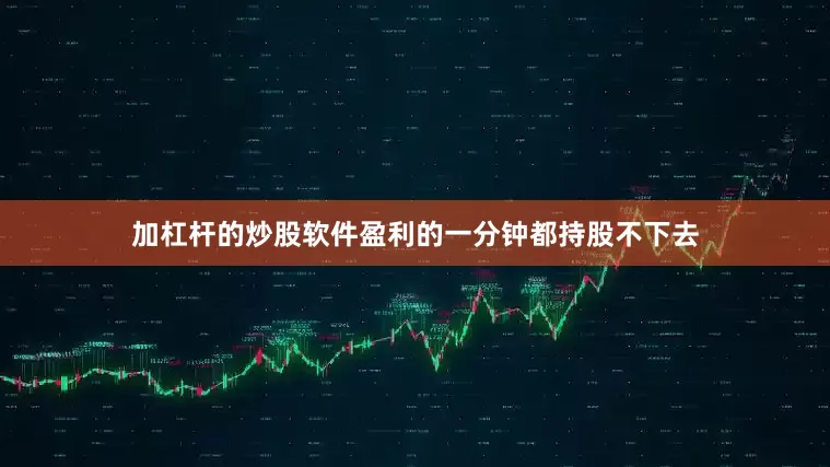 加杠杆的炒股软件盈利的一分钟都持股不下去